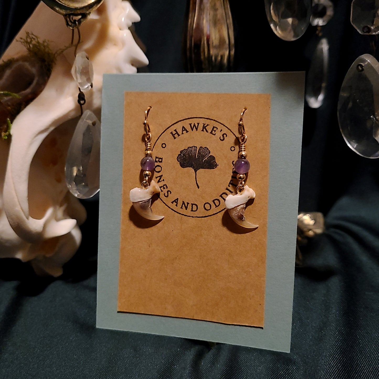 Bobcat Claw and Amethyst Dangle Earrings