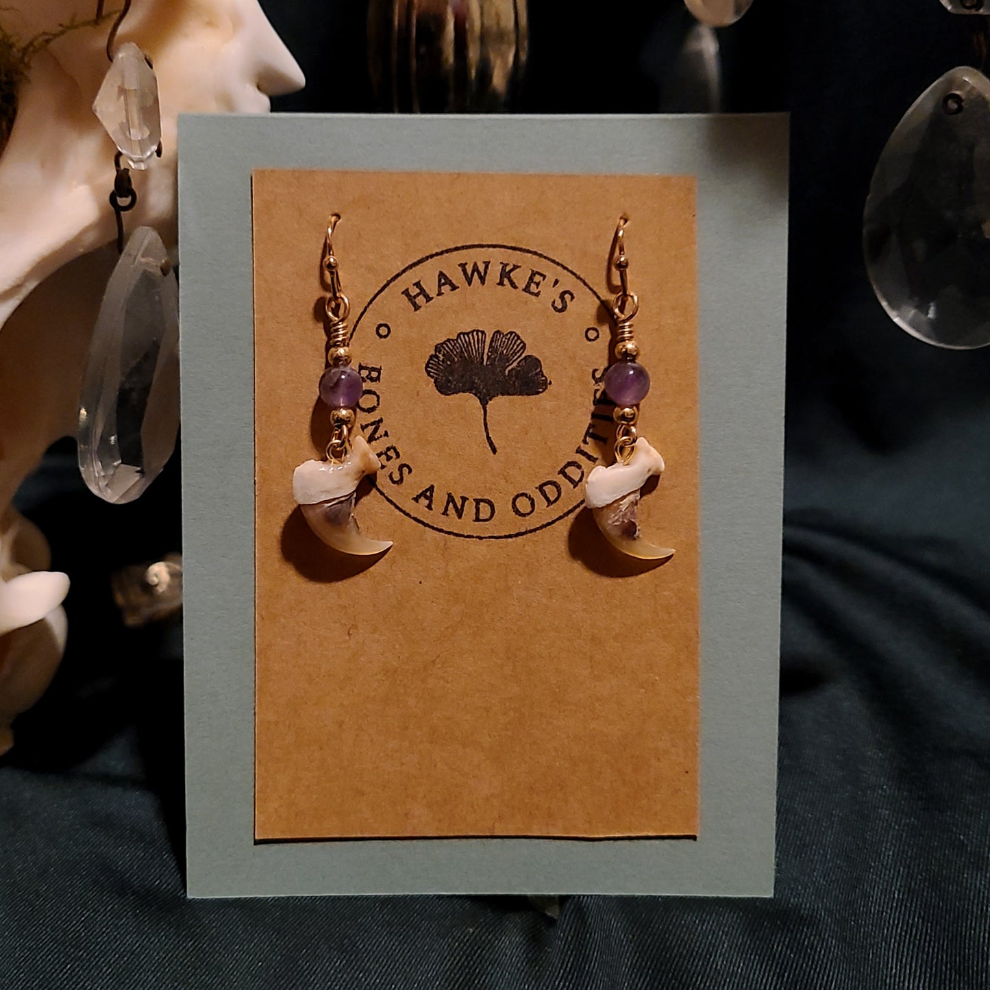 Bobcat Claw and Amethyst Dangle Earrings