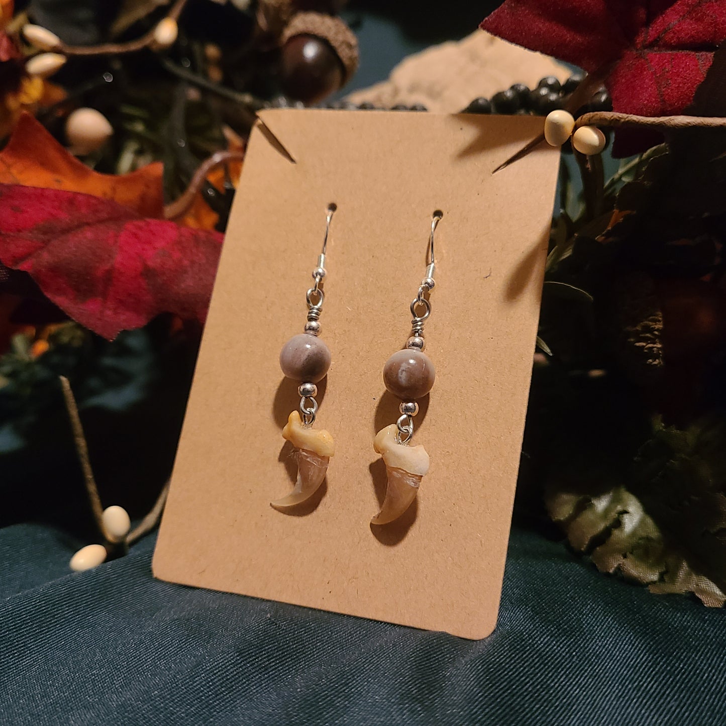 Bobcat Claws and Petrified Wood Earrings