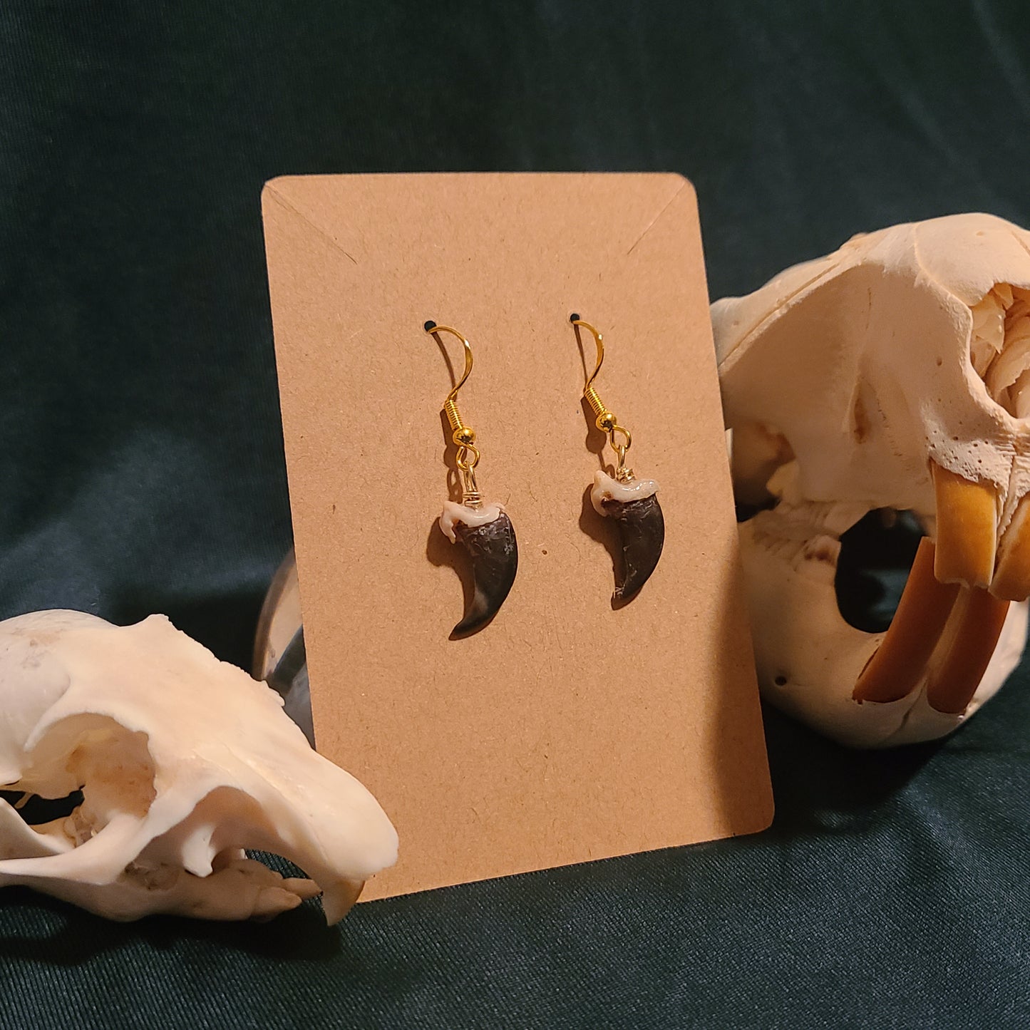 Coyote Claw Earrings