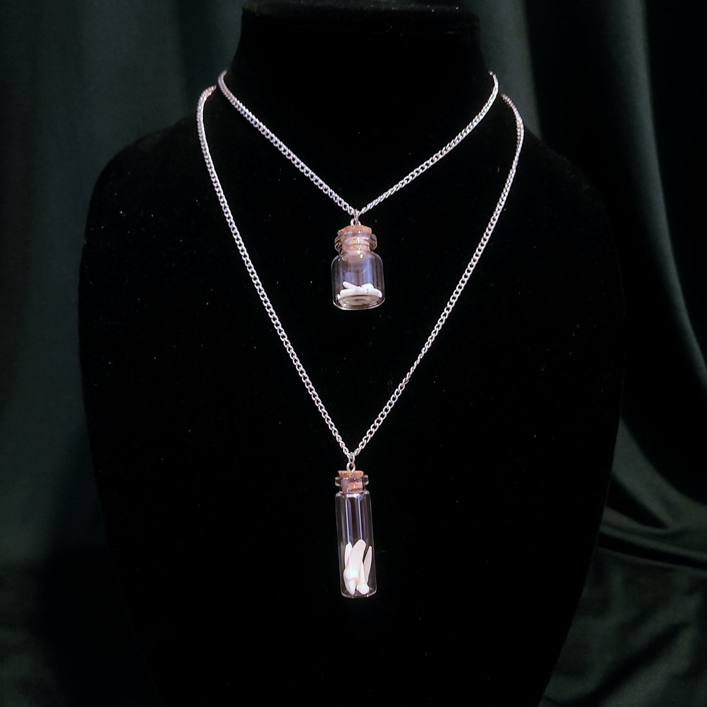 Raccoon Tooth Vial Necklace
